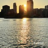 日落太温柔🌅陆家嘴滨江看日落的咖啡店