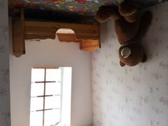 -金山农民画村-枫泾波兰倒置屋