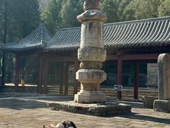 -四门塔风景区