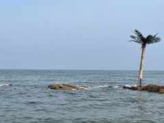 -北戴河碧螺塔海上酒吧公园