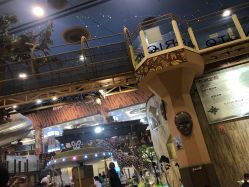 点击看大图 -卡通尼·Safari非洲探索乐园·生日会(金桥国际商业广场店)