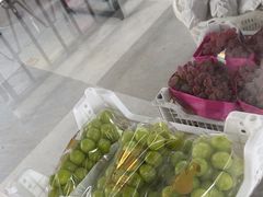 -马陆小张葡萄园农家乐