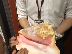 -青岛贝壳博物馆