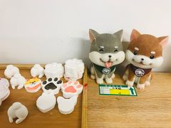 -柴迷FANS CLUB·柴犬狗咖·猫咖