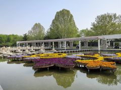 -石家庄市植物园
