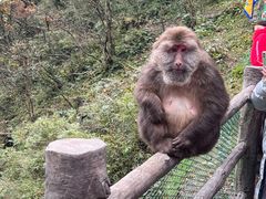 -峨眉山风景名胜区