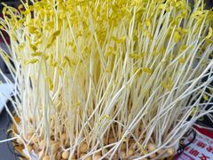 -巴倒烫陆派火锅山庄(南山总店)