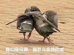 -佰烧海鲜烤肉火锅自助(世茂国际广场店)