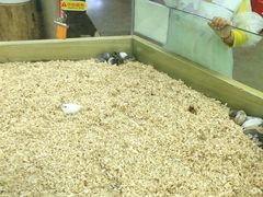 -昆明大悦城未来动物城(螺蛳湾中心店)