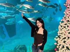 -福州罗源湾海洋世界旅游区