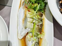 -老城根·砂锅驴肉·地道青州菜(禄禧新城店)