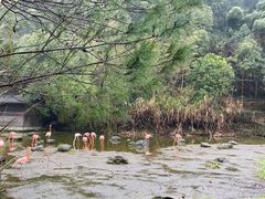 -千岛湖东南湖区