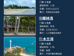 -东郊椰林