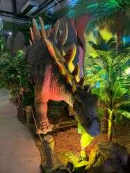 -恐龙探索乐园(磁器口店)