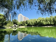 -团结湖公园