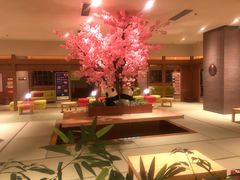 -大江户·温泉洗浴(浑南店)