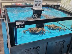 -麦德龙(郑东店)