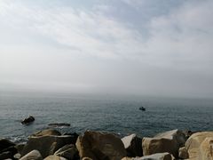 -广东惠东海龟国家级自然保护区