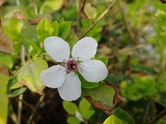-文瀛公园