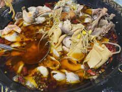 -金三可市井水煮鱼(金碧园店)