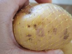 -麦德龙(镇江开发区店)