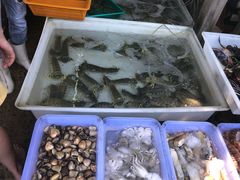 -拉威海鲜市场