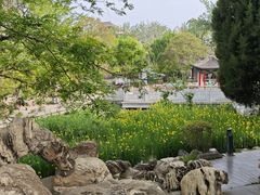 -莲湖公园