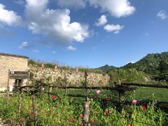 -黑河国家森林公园