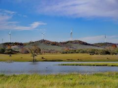 -塞罕坝国家级自然保护区