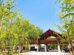 -野鸭湖国家湿地公园