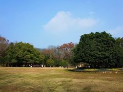 -灵谷景区