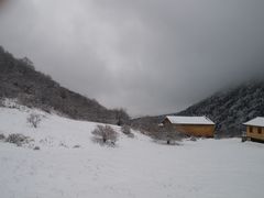 -黄龙山原始森林景区