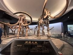 -大庆市博物馆