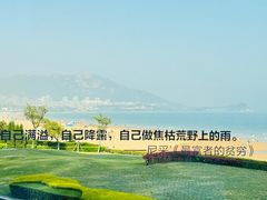-青岛朗艺美术馆·海景咖啡