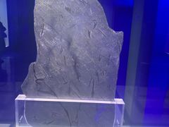 -吉林市博物馆