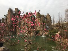 -秀丽东方
