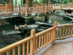 -南宫五洲植物乐园