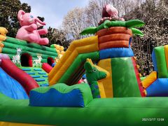 -上海共青森林公园