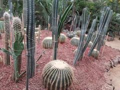 -呀路古热带植物园