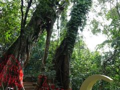 景点-七仙岭温泉国家森林公园