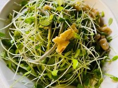 -大草原清真饭庄(沙河店)