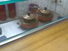 -易老大蛋烘糕(奎星楼总店)