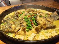 -老板恋上鱼(恒隆广场店)