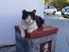 -五当召景区