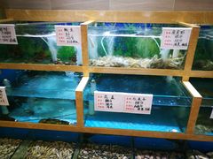 水产区-良师门滨海人家·海鲜·家常菜(滨海城店)