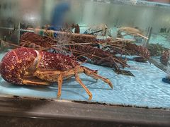 -阿伟海鲜楼·福建菜(延寿店)