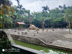 -广东茂名森林公园