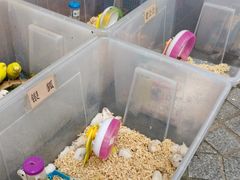 -宠爱我(南山店)