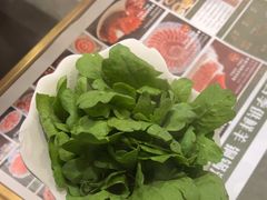 -南门四季铜锅涮肉(大屯·北苑店)