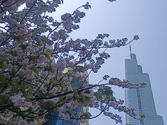 -紫峰大厦